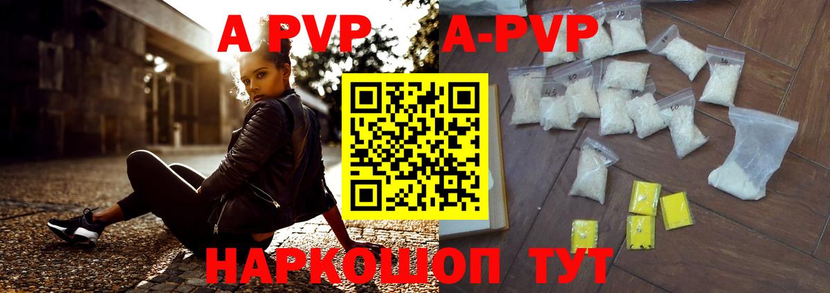 APVP СК Великий Новгород