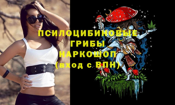 соль ск Гусь-Хрустальный