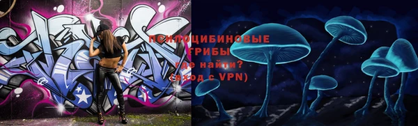 соль ск Гусь-Хрустальный