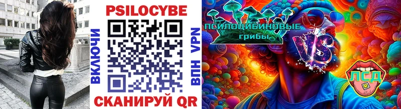 Псилоцибиновые грибы мицелий  дарнет шоп  Великий Новгород 