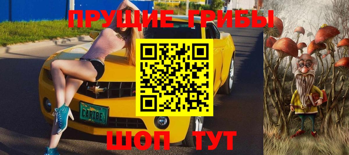 Псилоцибиновые грибы GOLDEN TEACHER Великий Новгород