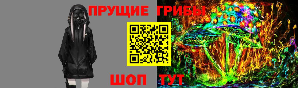 Галлюциногенные грибы мухоморы  Великий Новгород  Псилоцибиновые грибы Magic Shrooms 