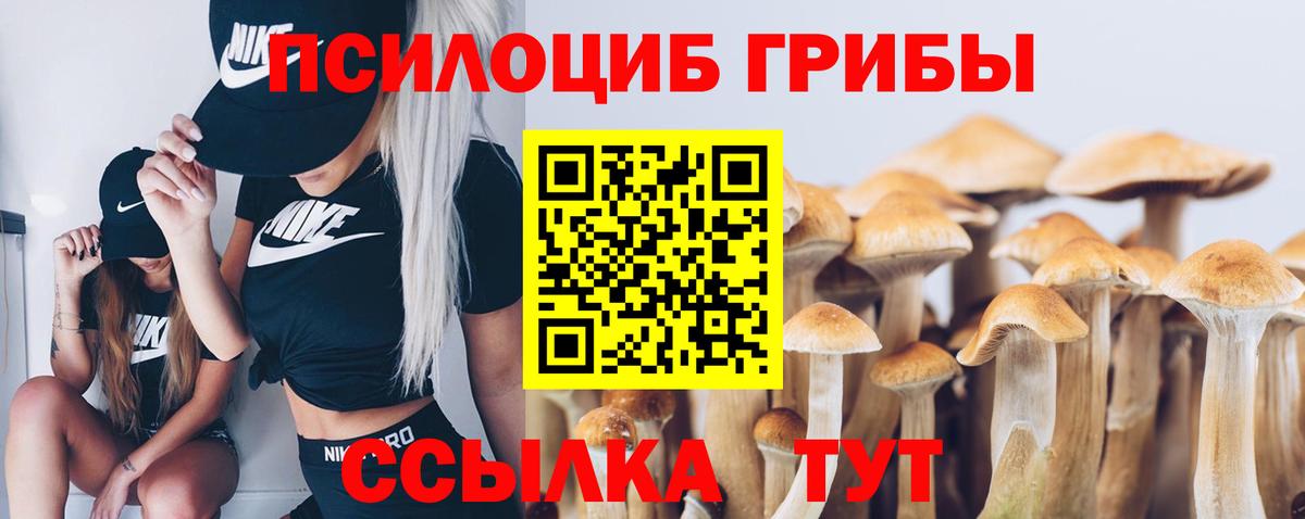 Великий Новгород  Галлюциногенные грибы ЛСД  Галлюциногенные грибы прущие грибы  Вход с VPN 